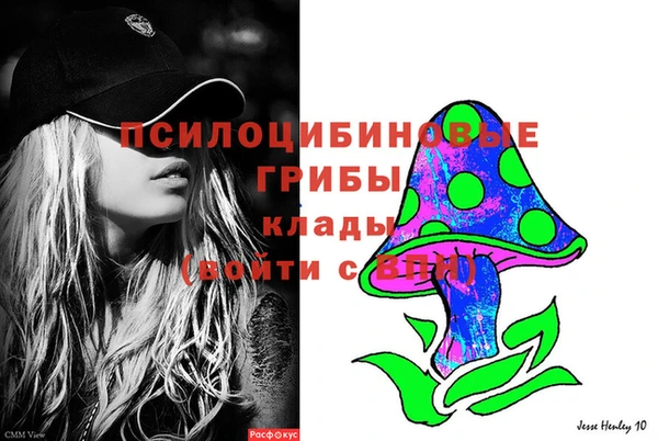 прущая мука Бронницы
