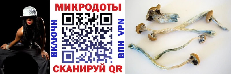 Псилоцибиновые грибы прущие грибы  цены наркотик  Вятские Поляны 